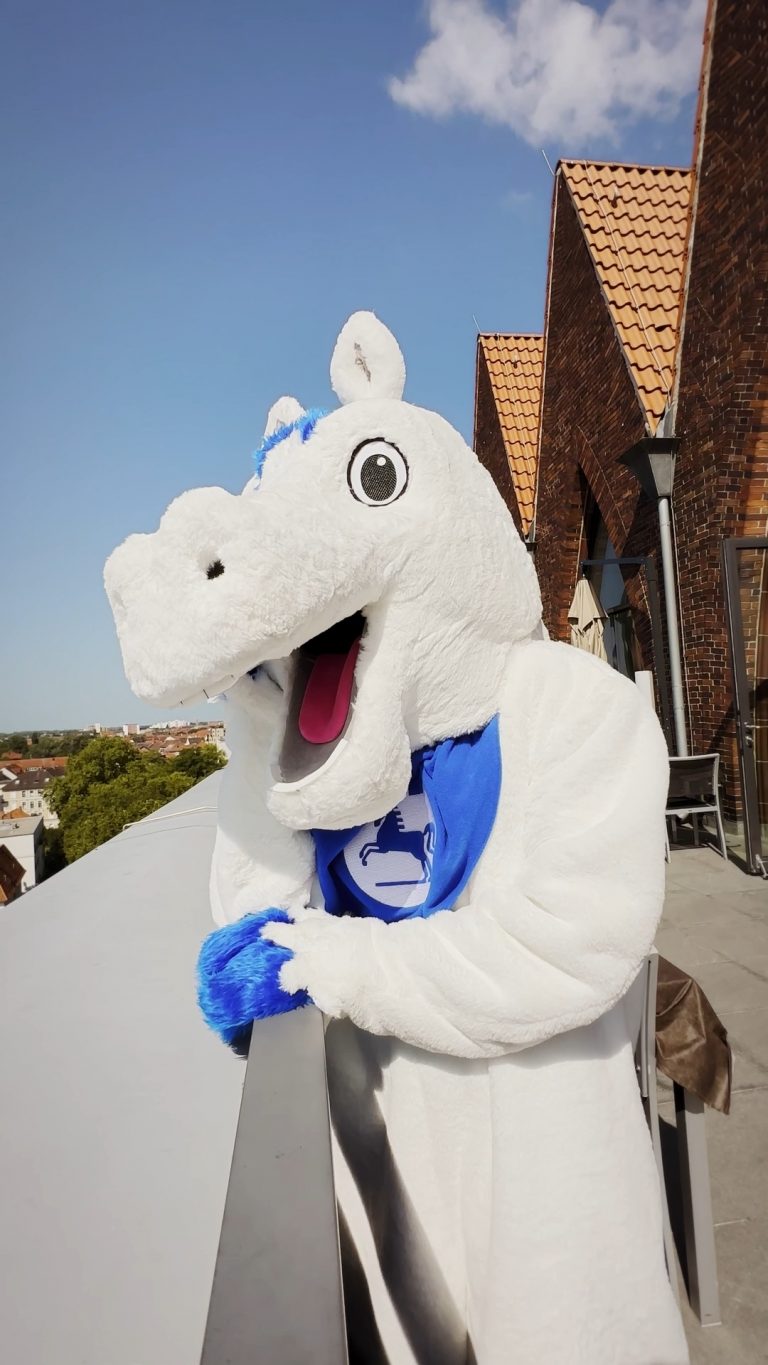 Maskottchen der Öffentlichen Versicherung Öfi blickt auf Braunschweig